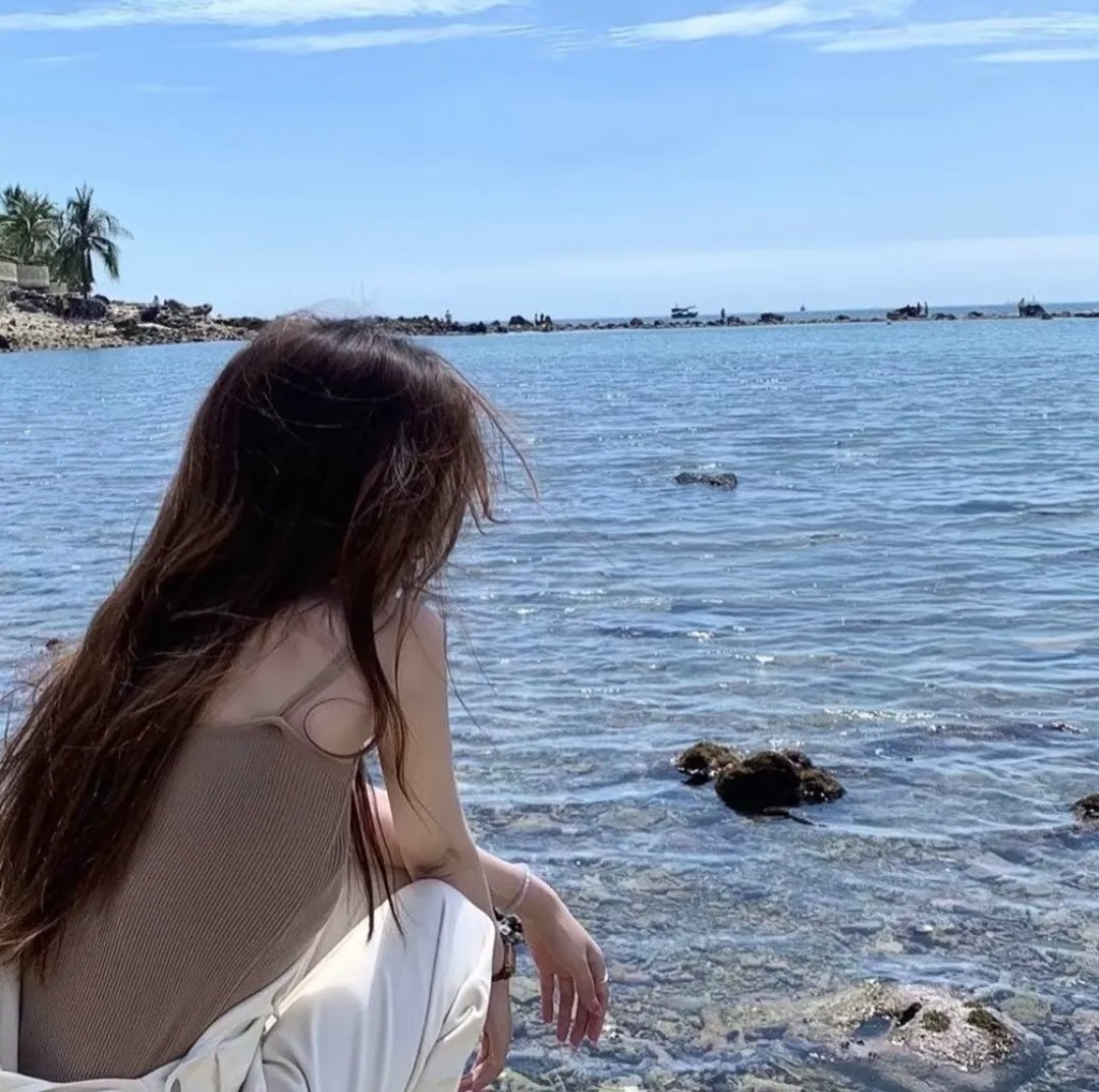 完美革命